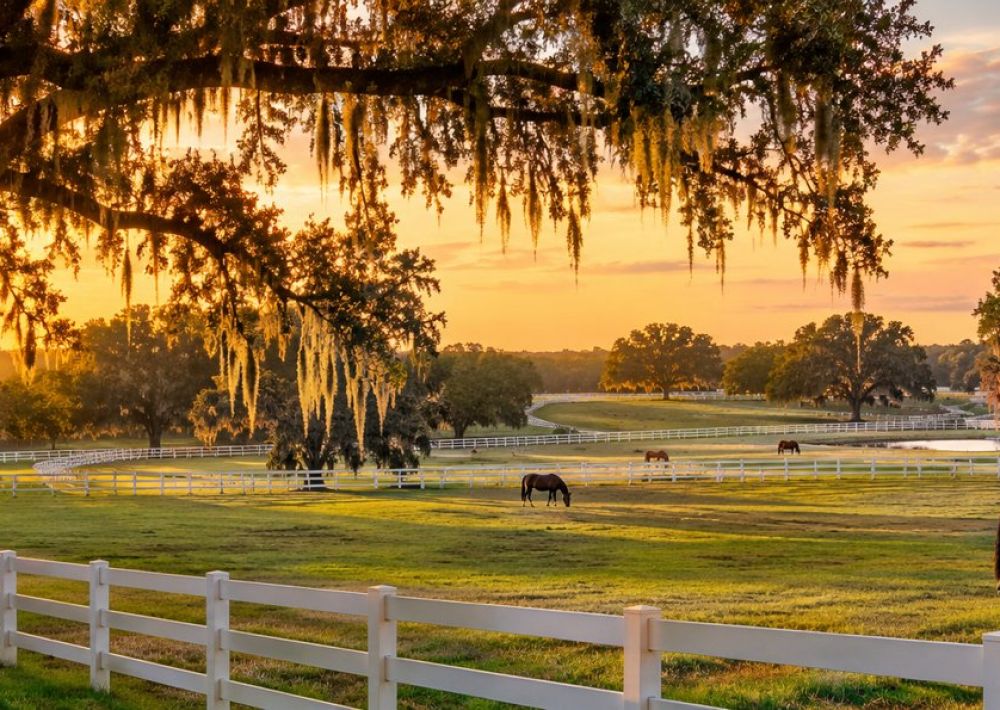 Ocala Real Estate - Garrett Huffman, Sales Representative